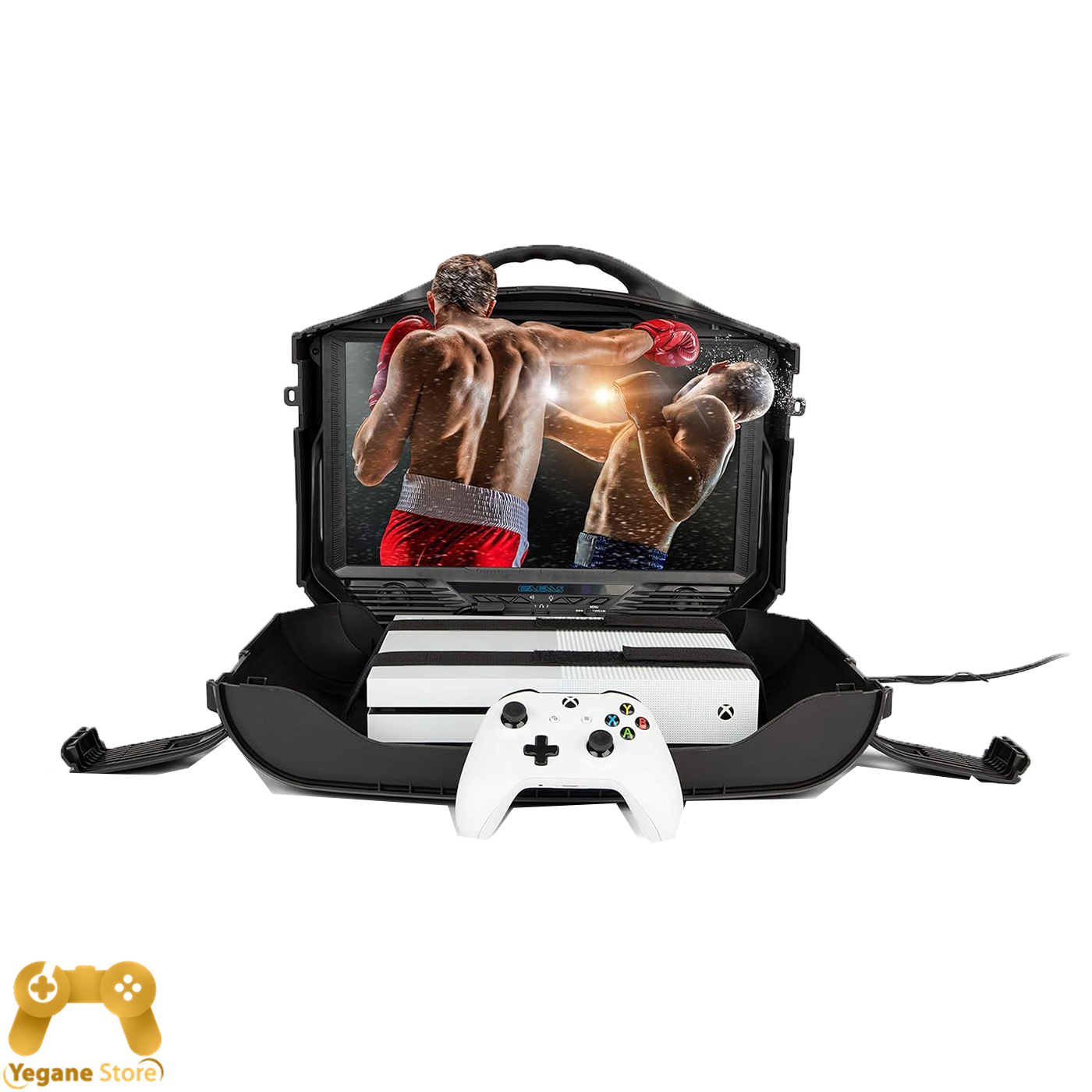خرید مانیتور قابل حمل  GAEMS Vanguard اینچی 19